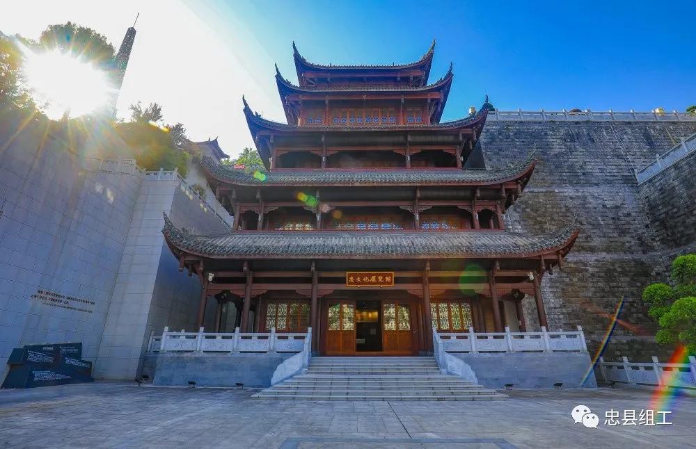 鍐呰挋鍙ゅ睍瑙堥妤硅仈,妤硅仈澶у寰侀泦