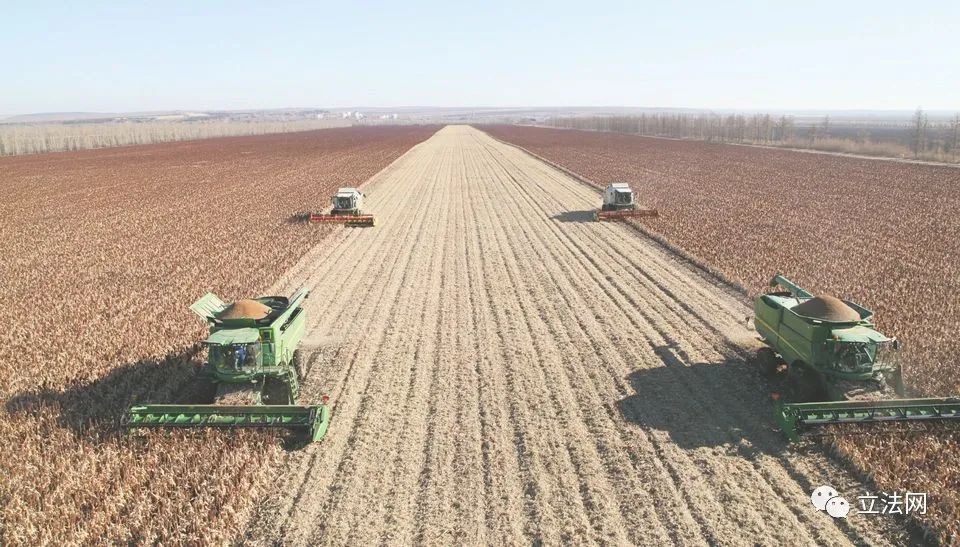 退休后集体经济组织成员认定,集体经济组织成员资格的认定标准