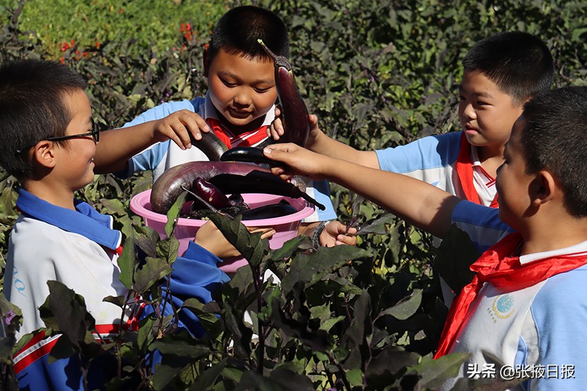 临泽板桥中心小学耕好“责任田”拓展教育新空间