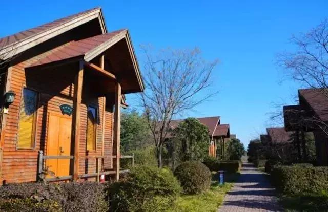 洛阳冬天泡温泉最好的地方,洛阳泡温泉的门票多少