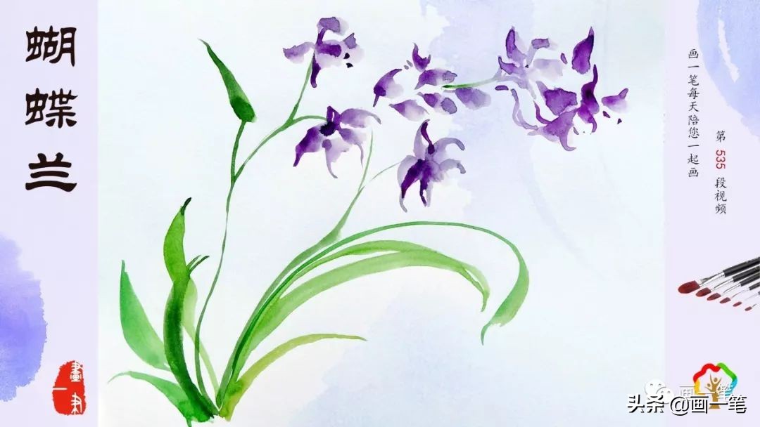 红心石楠图片怎么画,石楠树图片简笔画