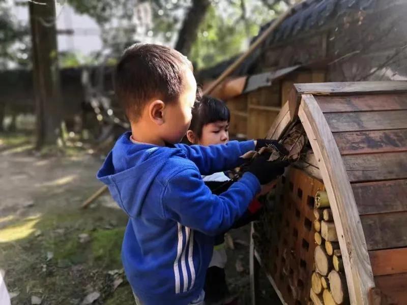 寒假研学活动圆满结束,寒假研学冬令营