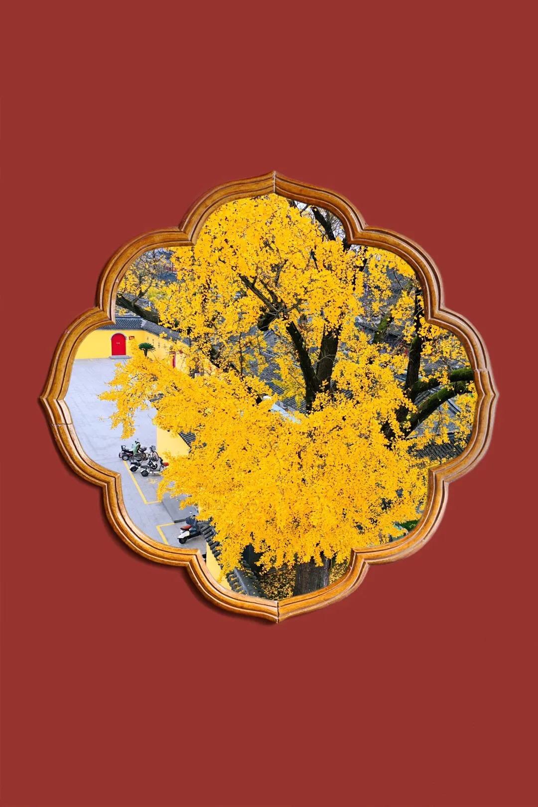 微商为什么会崩盘,微商是一种什么商业模式