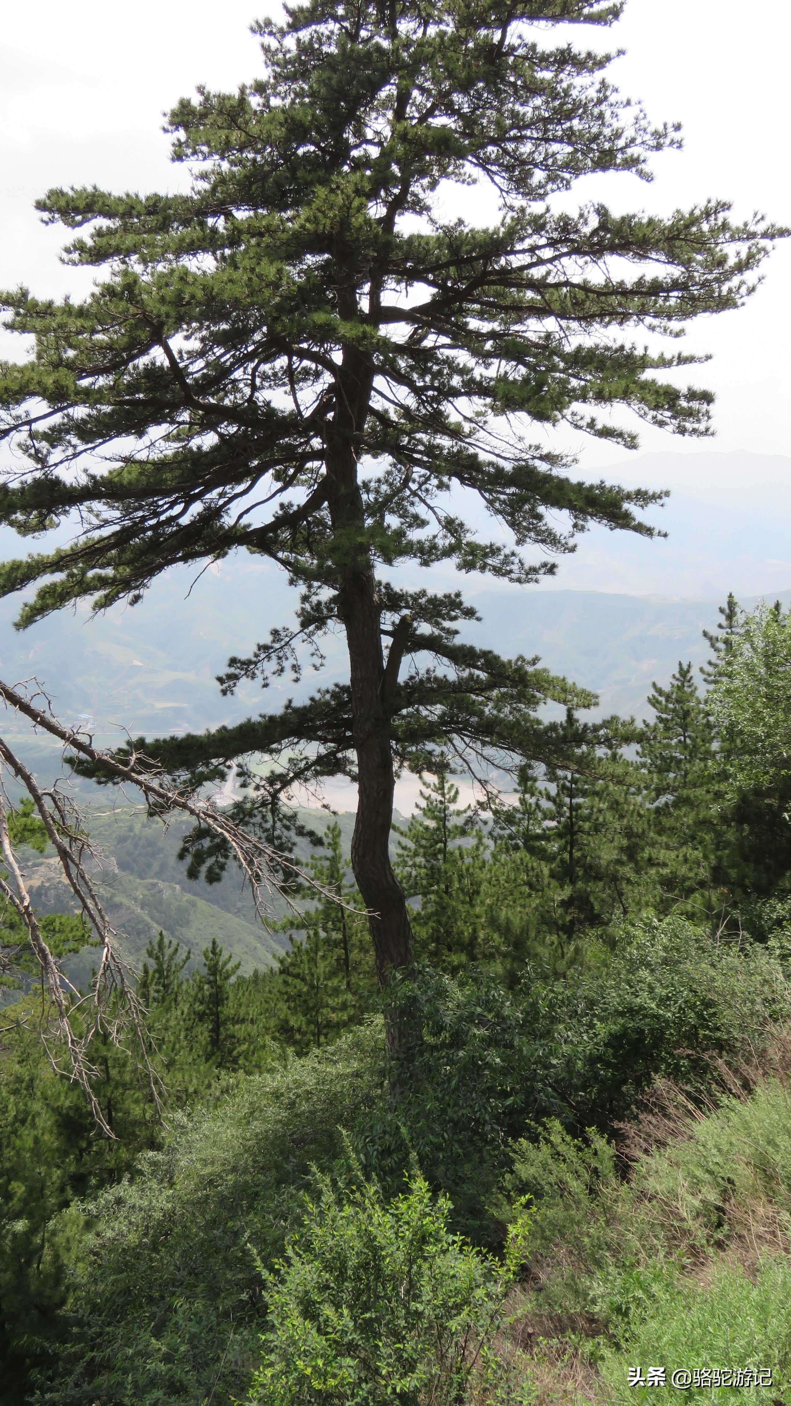 中国有奇山北岳恒山,中国五岳名山新的北岳恒山