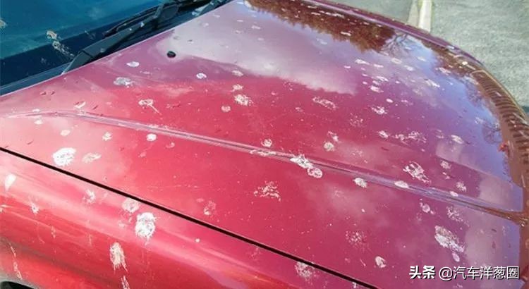 汽车鸟粪对车有什么影响,鸟屎对汽车有影响吗