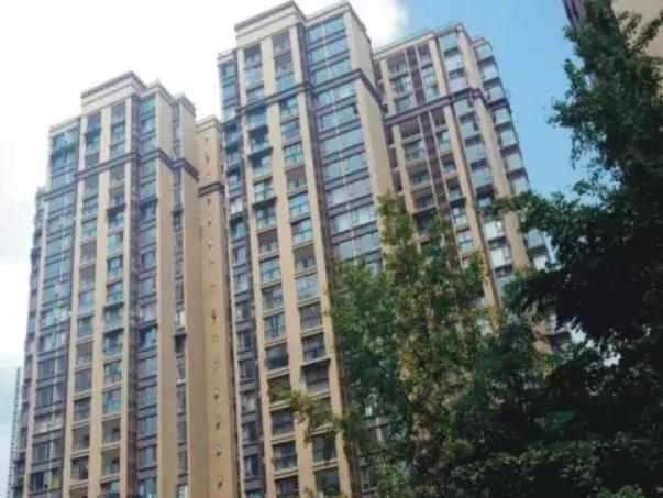 筑您所想|演绎美程31载的进取之路