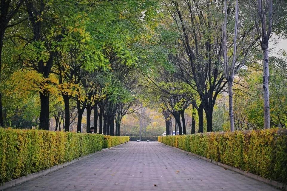 辽宁省普通高等院校,辽宁省沈阳本科大学