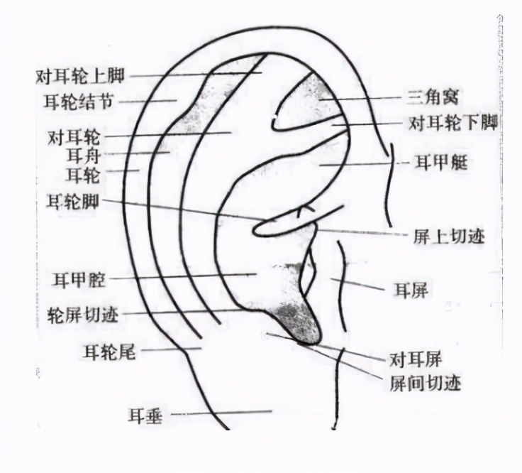 好好的就耳鸣怎么回事,耳聋预防和治疗