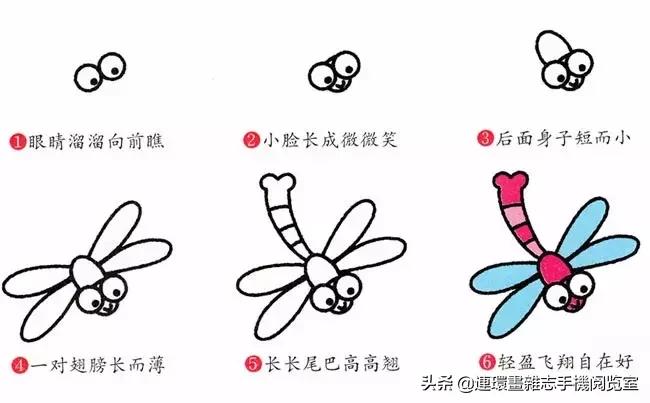 可爱的小昆虫简笔画,我认识的昆虫简笔画