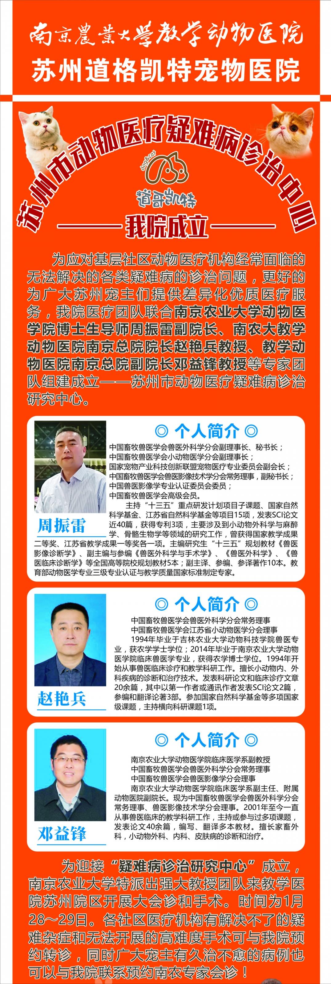 当了铲屎官才知道狗屎有多香,做了4年的铲屎官