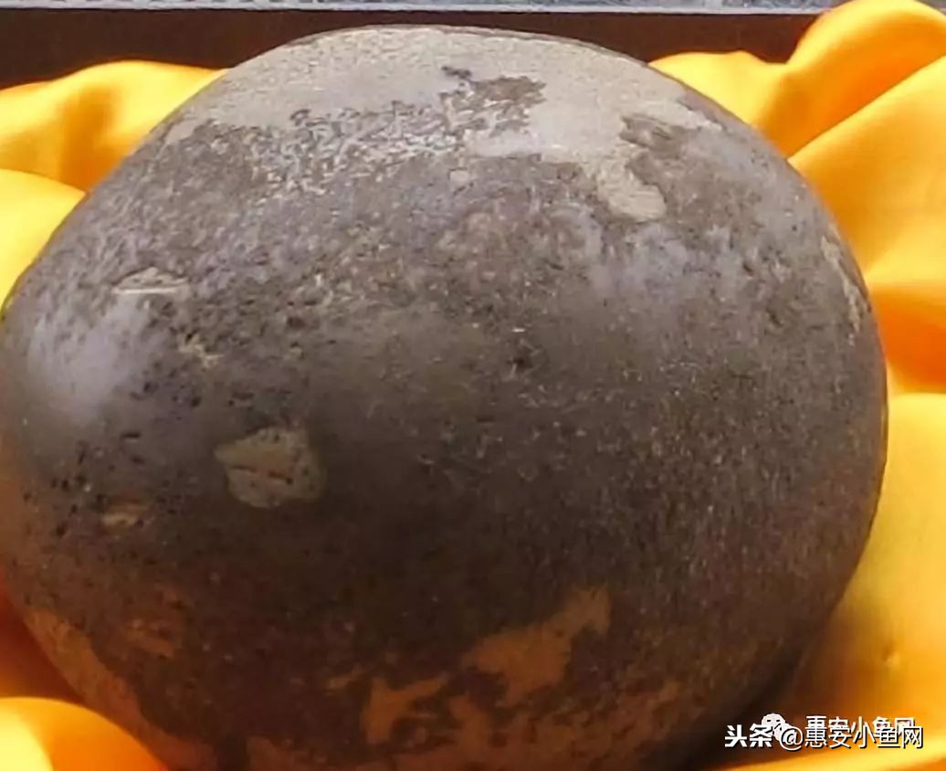 台商区｜宰杀8斤老母鸡，肚内1斤“鸡宝”！能卖多少？