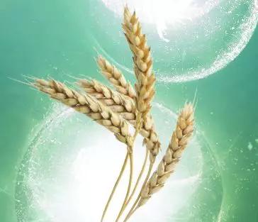 去眼纹去黑眼圈用什么方法,去眼袋黑公认最好用的土方法