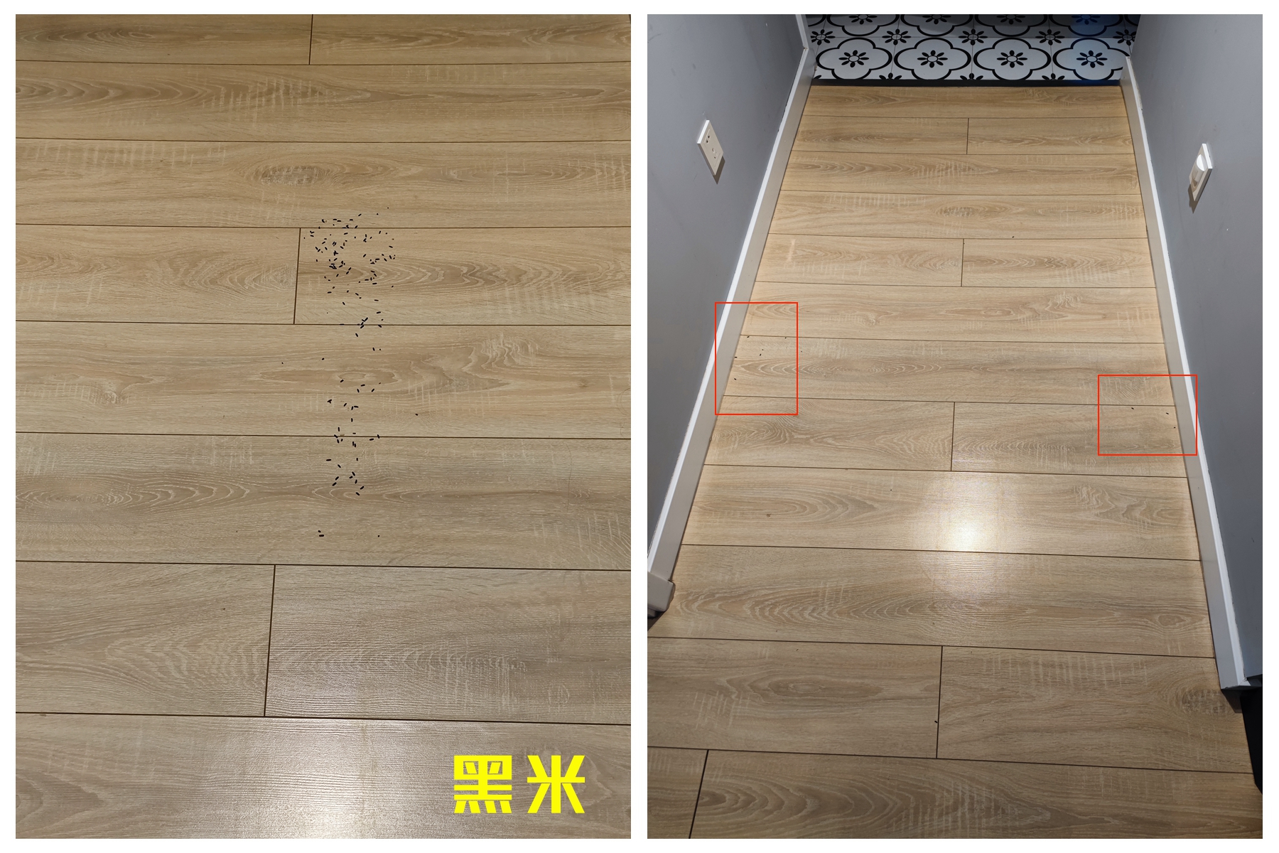 美的扫地机器人w11和w11plus,美的w11扫拖机器人评测