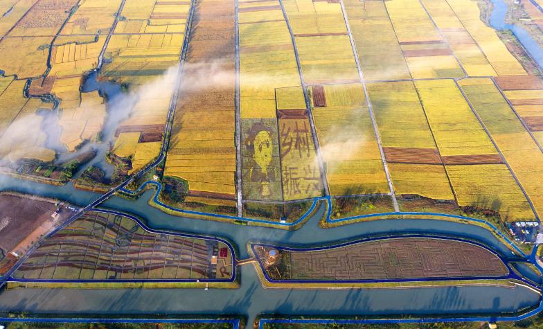 温州值得骑行打卡的地方,温州有哪些骑行的好地方