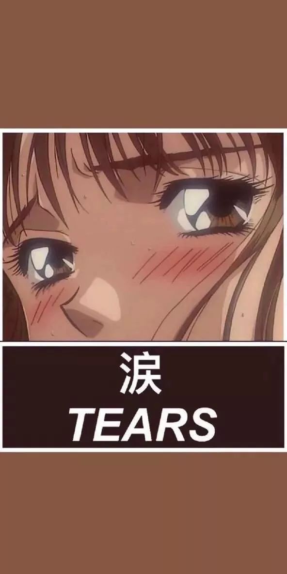 上热门评论照片,上热门壁纸发布