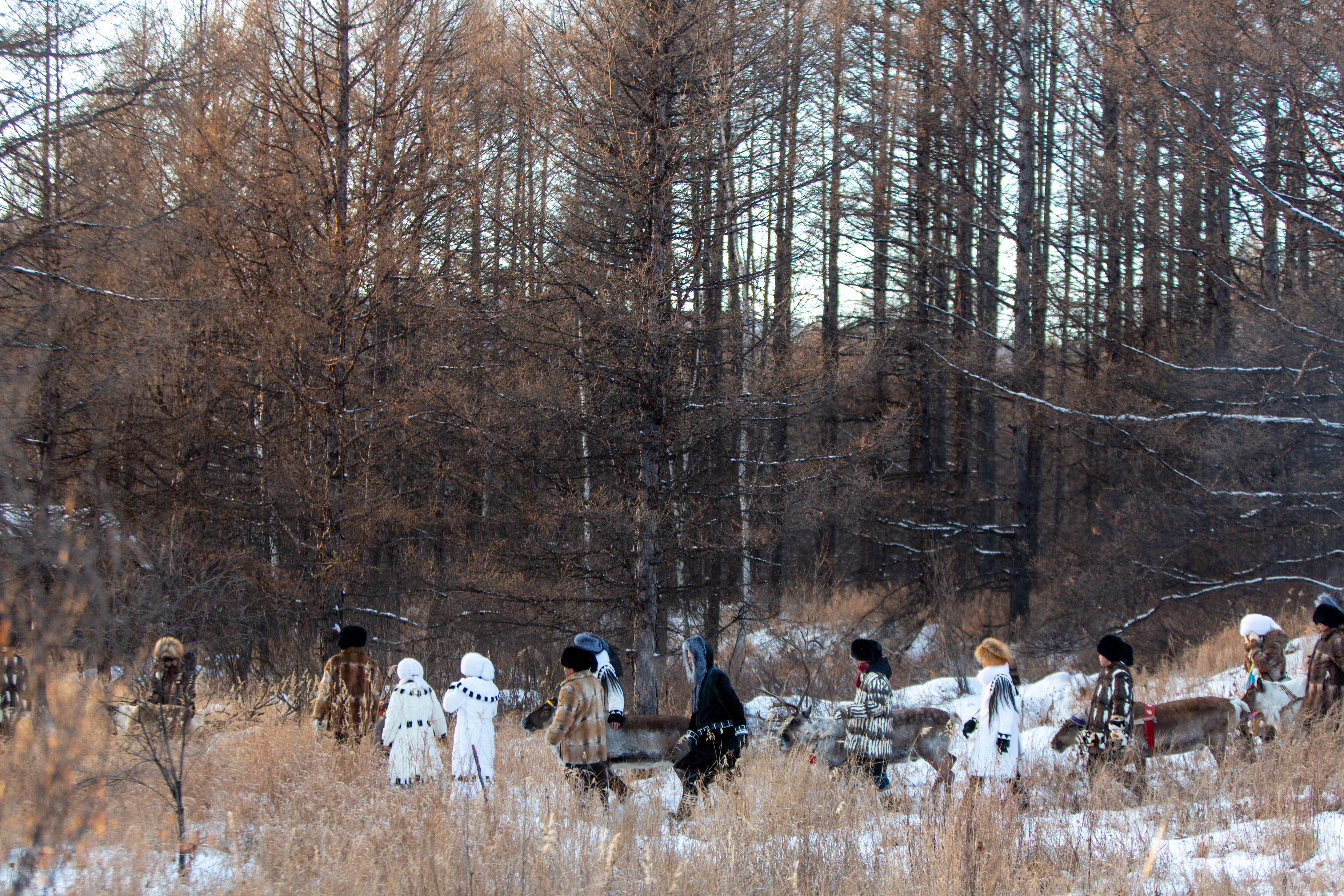 内蒙古的冬天有多好玩,内蒙古的冬天能有多美