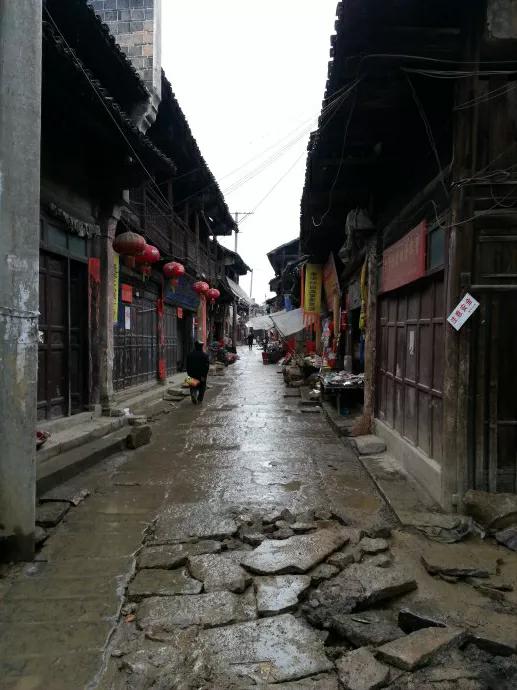 小时候被洋辣子扎过,小时候被洋辣子蛰