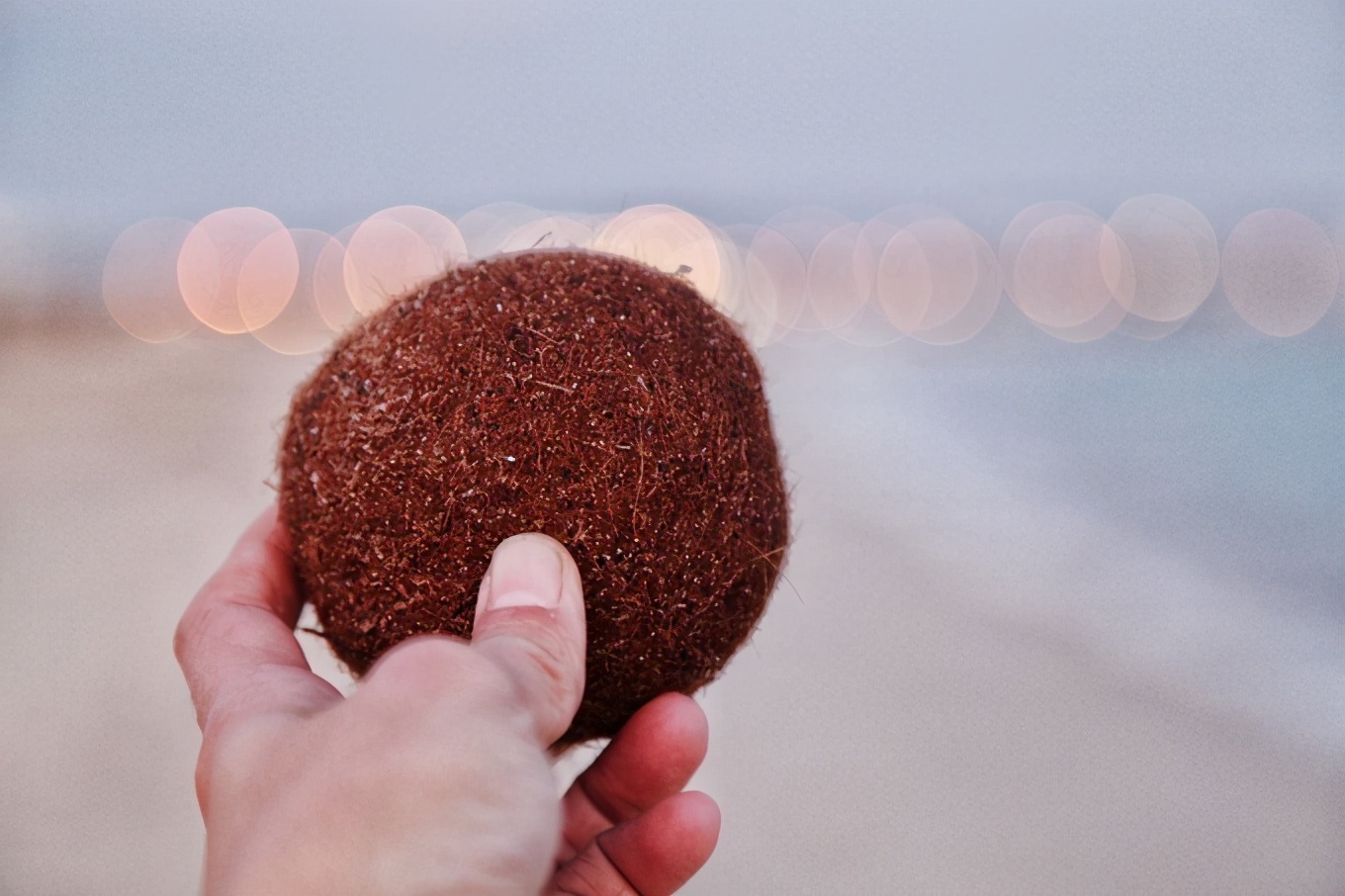 突尼斯｜一个微笑，一句“salam”，我为你动容（1）