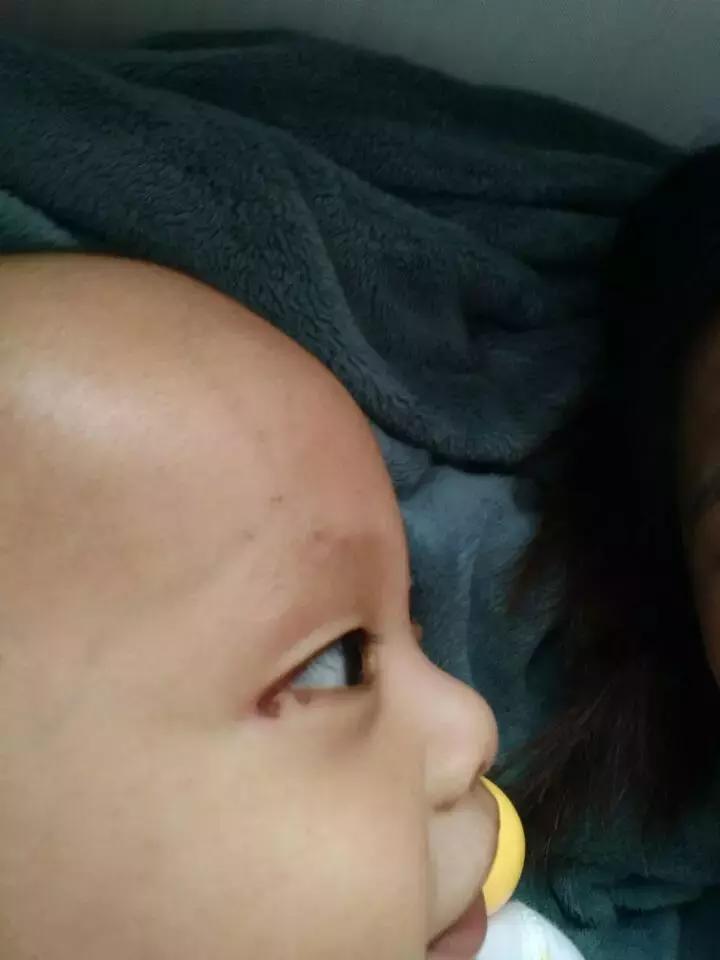 夏天最要小心这四种虫子,在外面遇到这种虫子千万别用手拍