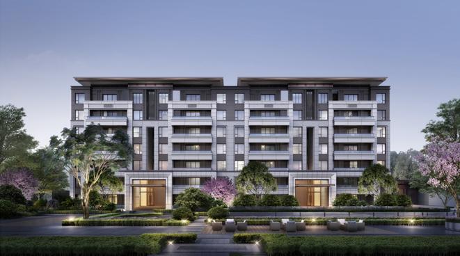 成都高新区小摇号,成都高新区区内摇号