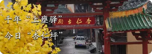 洛阳古城打卡攻略,洛阳老城十字街游玩攻略