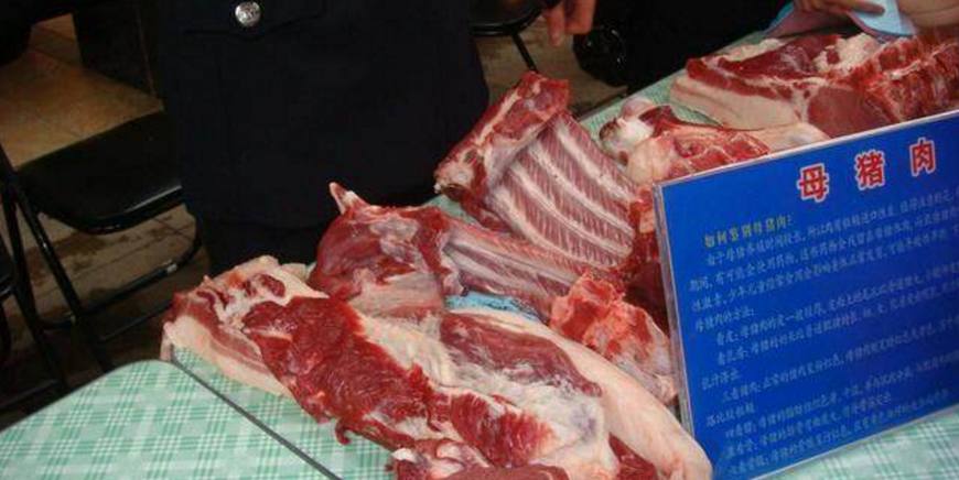 农村养猪十大忌口,农村母猪肉能不能吃