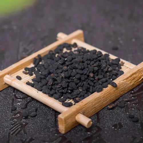 补骨脂配伍药方,补骨脂的功效与验方