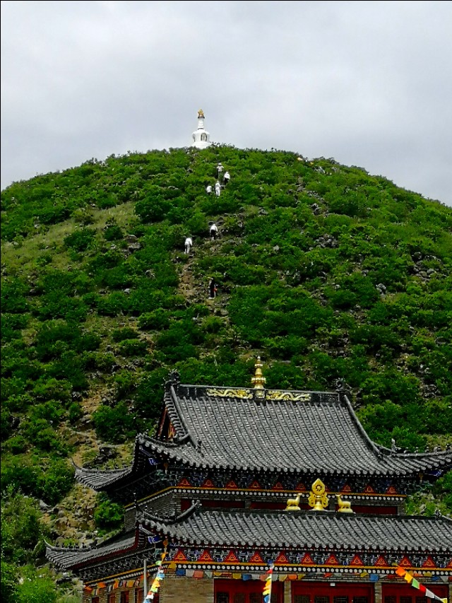 内蒙古通辽市扎鲁特旗大草原,通辽市阿古拉湿地公园