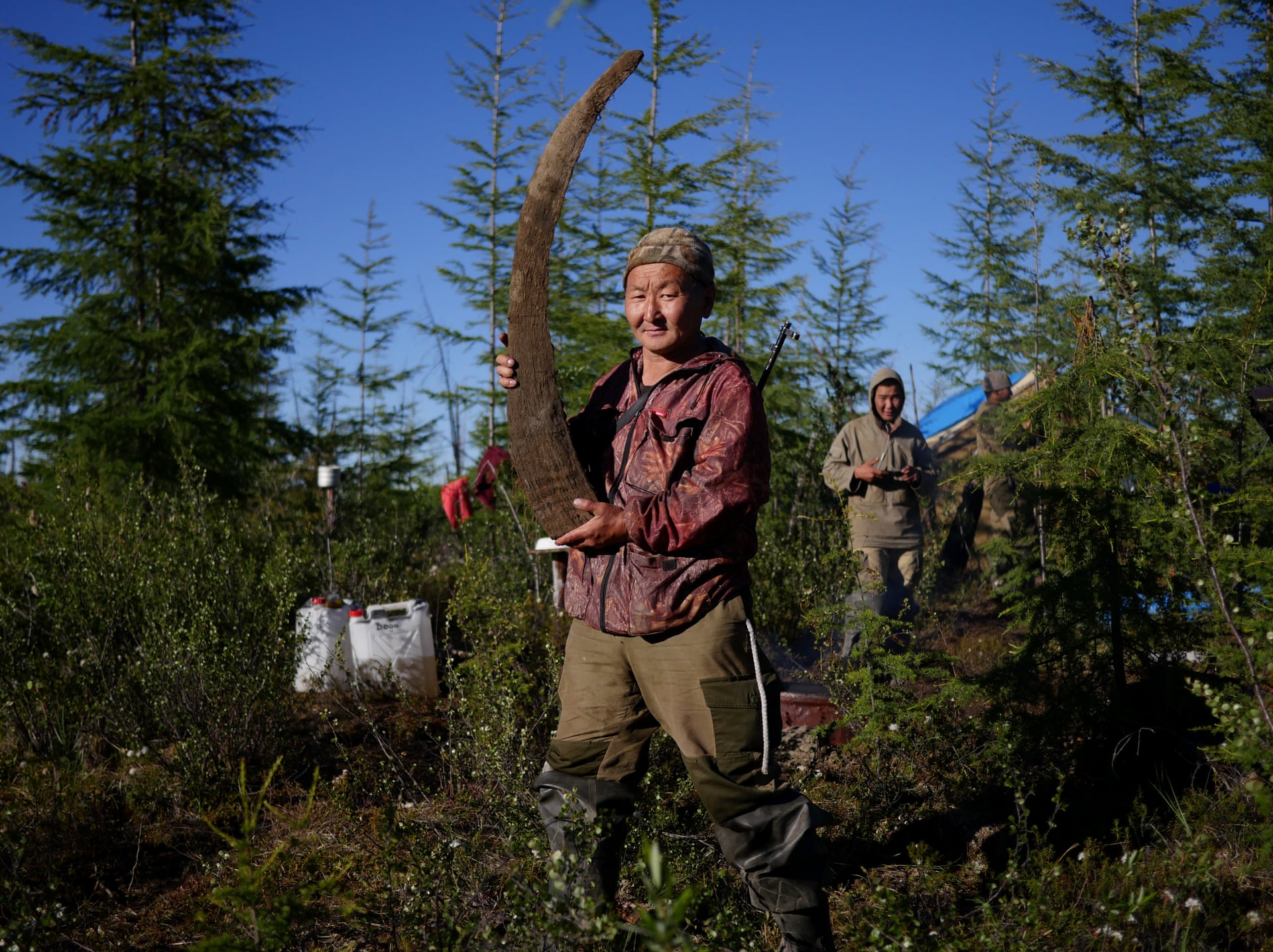 猛犸象冰河世纪的巨兽,冻土层下的猛犸象牙