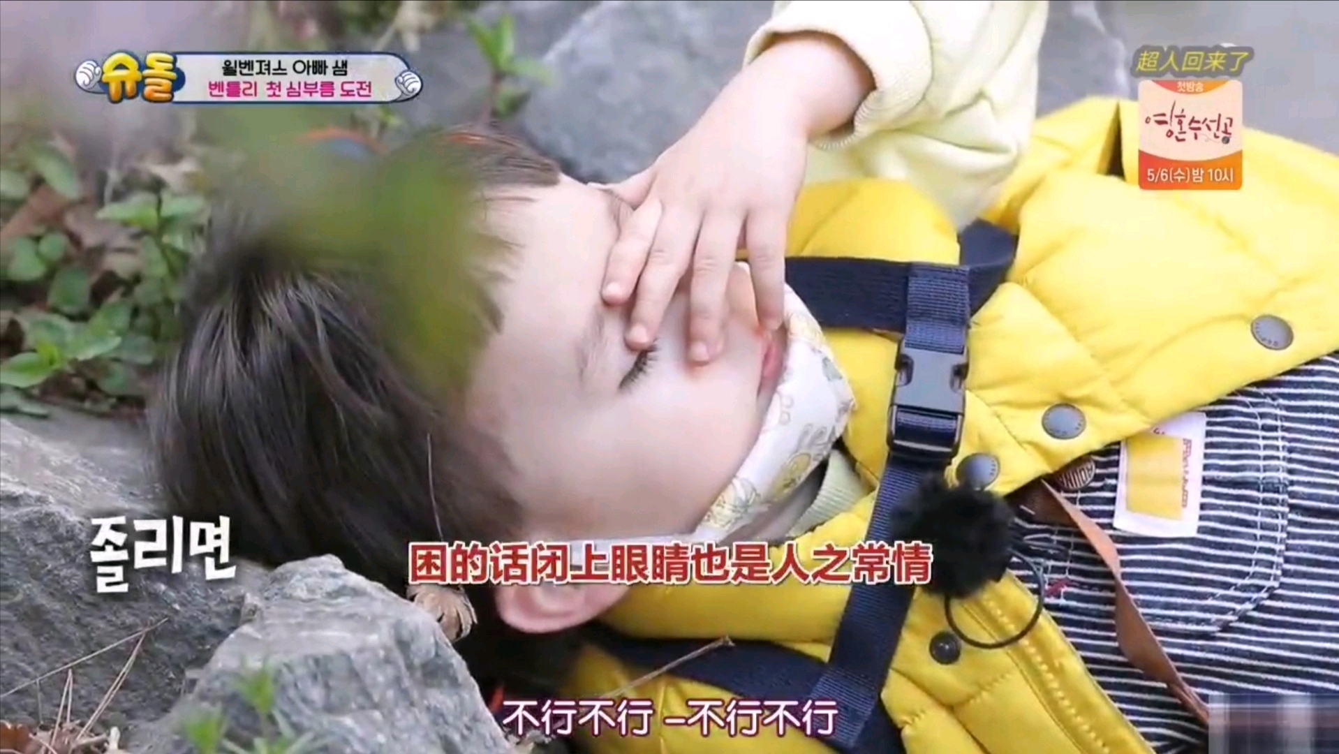 本特利的萌娃,本特利韩国萌娃