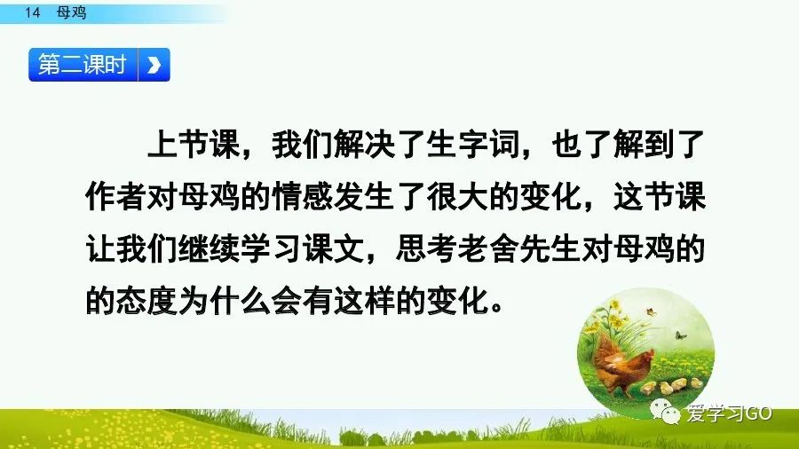 部编版四年级下册15课白鹅解析,部编版四下语文第13课母鸡预习
