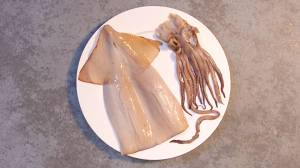 各种干海鲜贝类泡发方法,六种海鲜做法大全视频