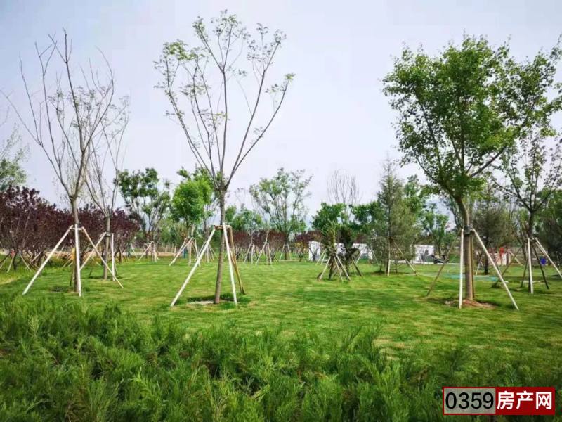 运城南山运动公园已开放,运城南山生态体育公园草坪