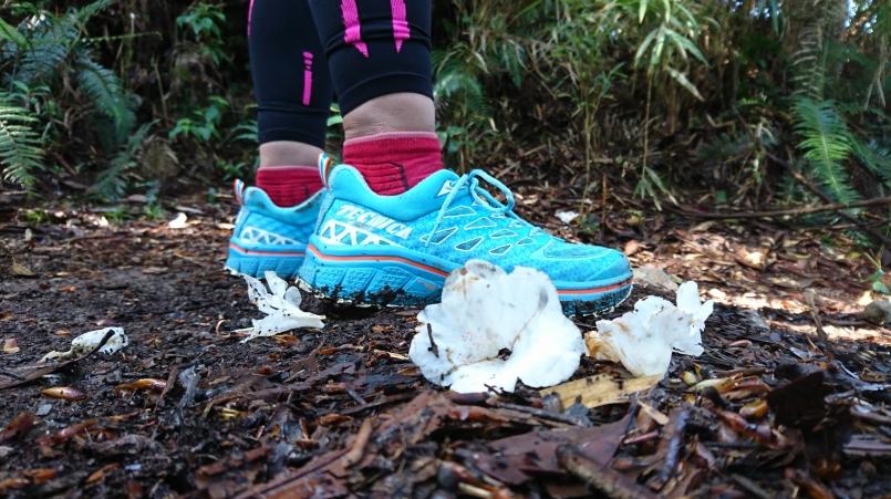 萨洛蒙和泰尼卡越野跑鞋,泰尼卡越野跑鞋至尊全能比较