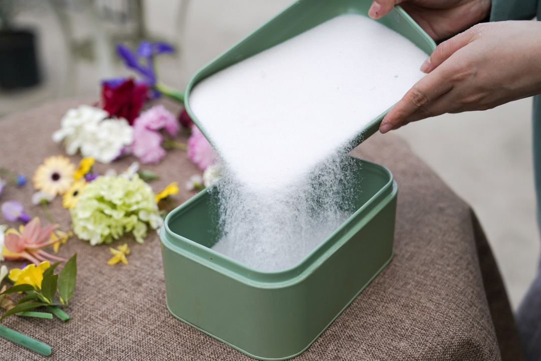 收藏春天的教程,怎么收藏春天