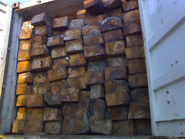 非洲黄花梨简介说明