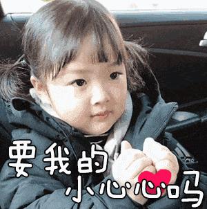 狗粮这些成分可能会导致狗患肿瘤!仔细看,买狗粮避免踩雷