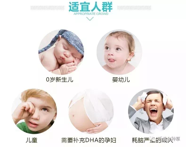 bioisland婴儿dha藻油0-1岁,宝宝海藻油dha哪个牌子好