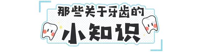 人体牙齿在哪个年龄段最坚硬,人体最坚硬的部位是骨骼还是牙齿