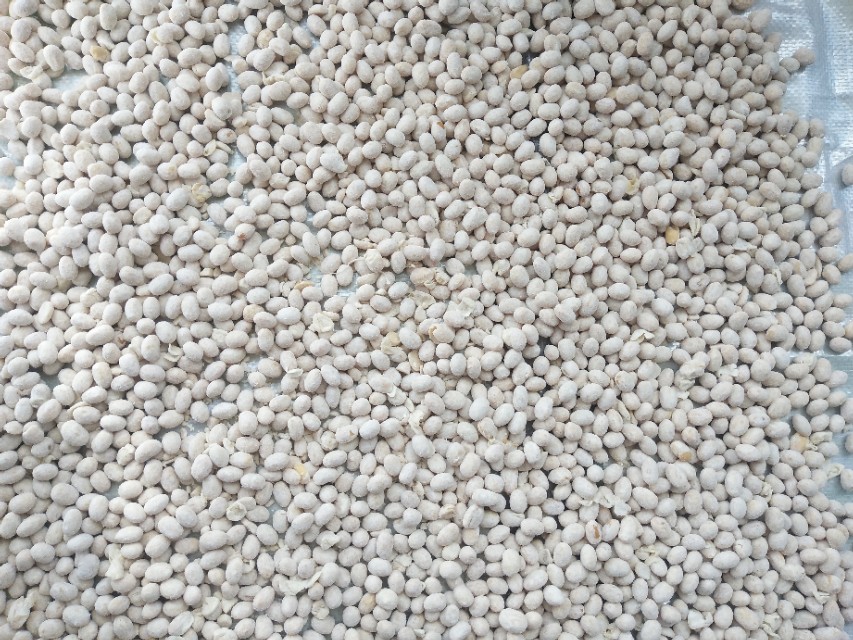 在山东、河南两地,当西瓜遇见黄豆,感觉妙不可言!