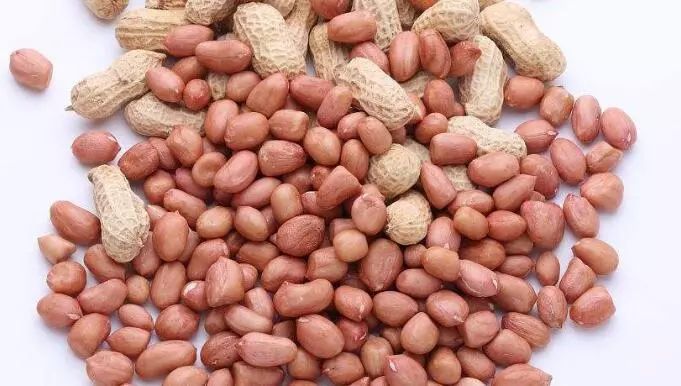 过敏性紫癜最怕三种菜,得了紫癜性皮炎应忌哪些食物