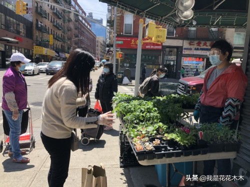 新手摆地摊什么最好卖最赚钱,摆地摊卖什么最赚钱最简单