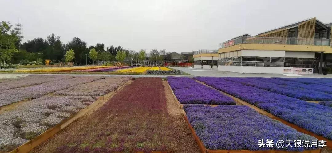 有人去过世园会吗,去过世园会好不好玩