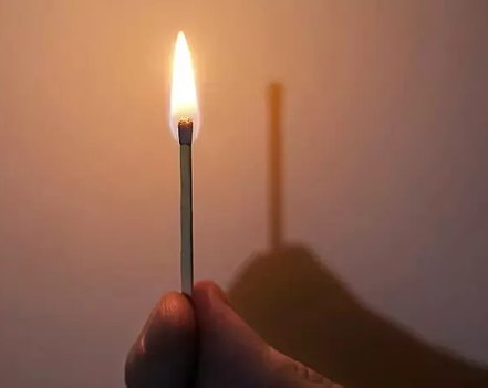 显微镜下蚂蚁的真实面目图片,蚂蚁在显微镜下的样子图片