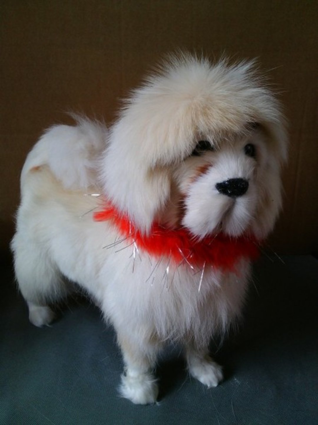 发财金点子项目,发财宠物用品