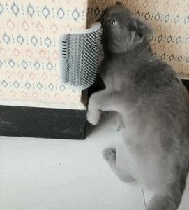 把车标全部抠掉违法吗,把车标抠下来清灰