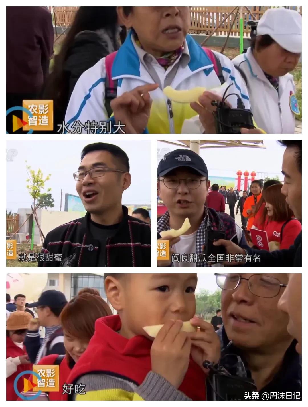 不甜不要钱！白玉甜瓜火了，脆嫩香甜多汁！全家老小都爱吃