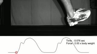 跑鞋发展至今已大大削弱脚部力量：我们能回归祖先赤脚跑的年代？