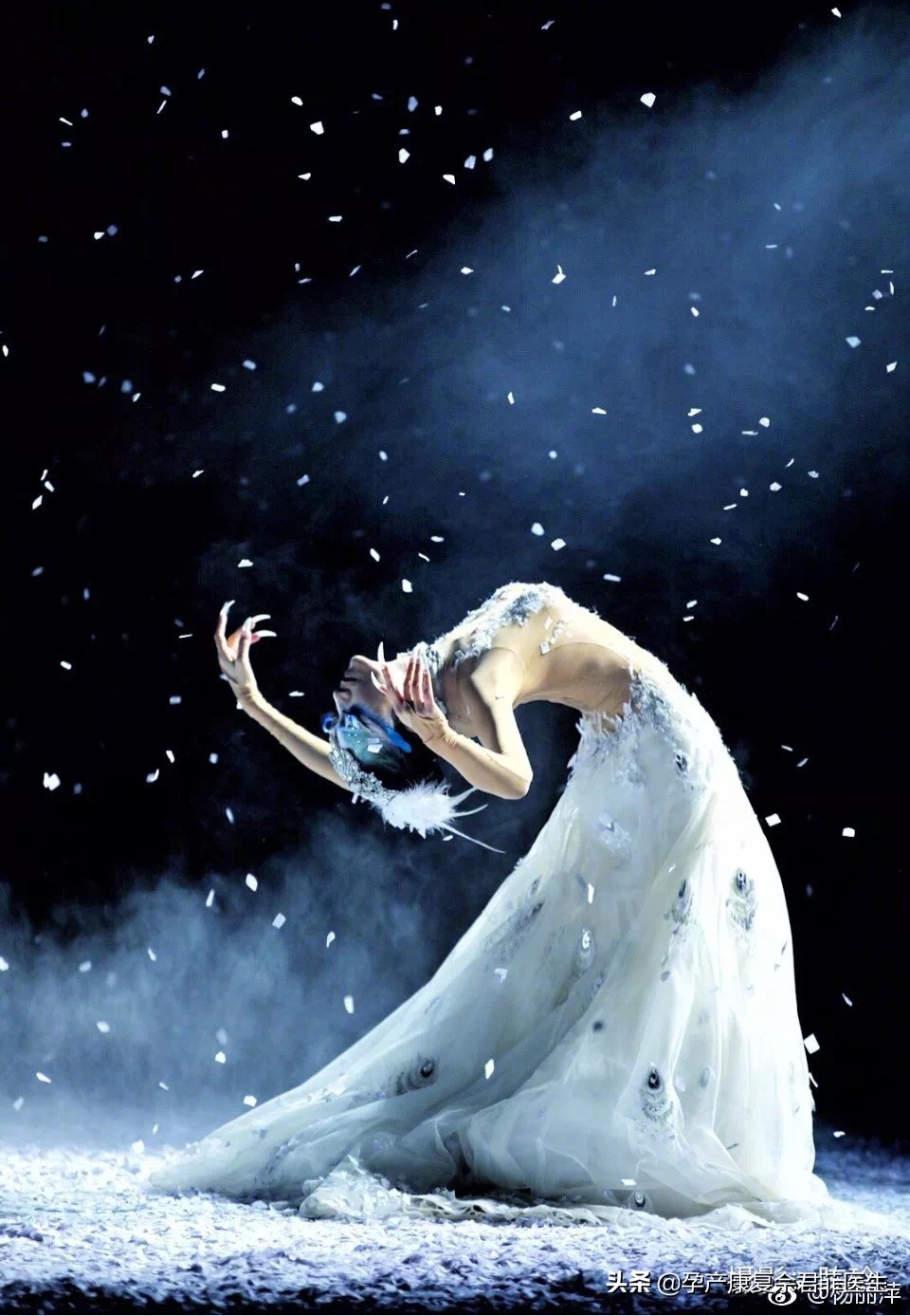 杨丽萍孔雀舞遭吐槽,孔雀仙子评价杨丽萍