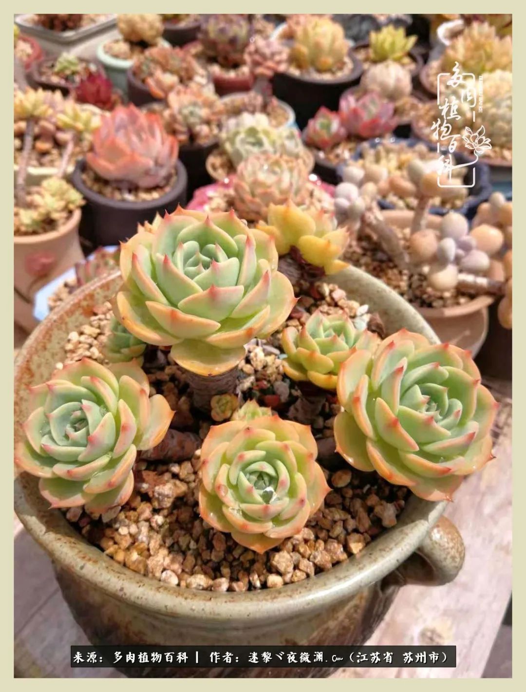 秋尽冬来岁月不居时节如流,岁月不居时节如流水